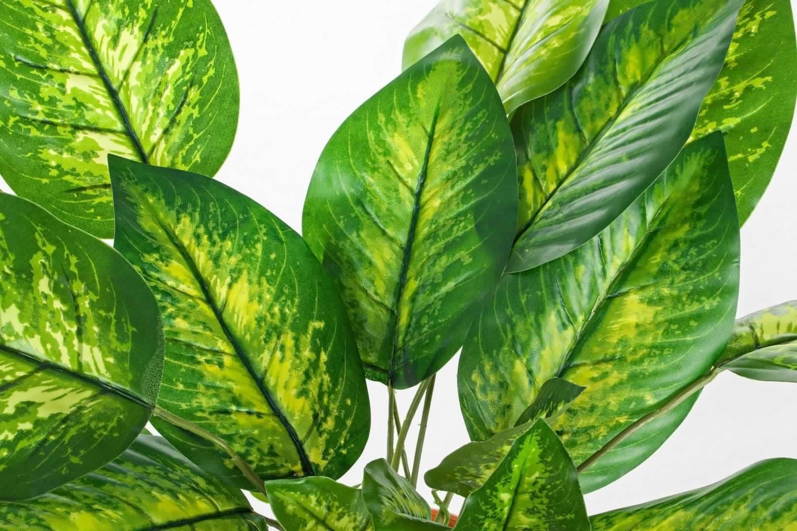 Pianta artificiale "Dieffenbachia" con vaso in plastica, 30x30x45h cm in Piante artificiali Decor Space - Altamura, commercioVirtuoso.it