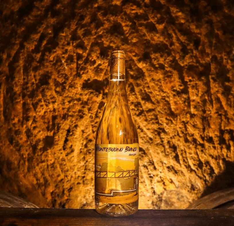 Vini bianchi, biologici e naturali della Maremma Toscana - 12