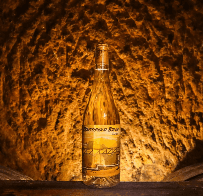Vini bianchi, biologici e naturali della Maremma Toscana - 9