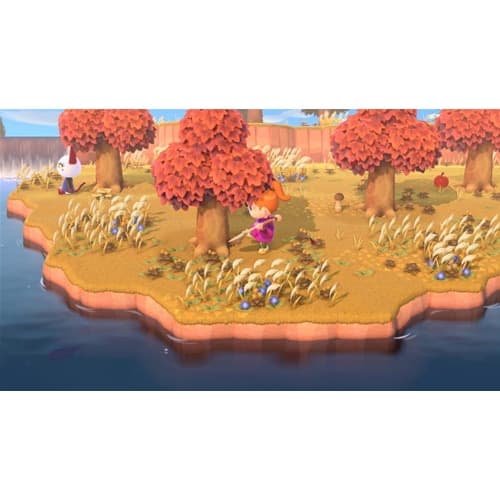 Animal Crossing New Horizons Switch UK - 12