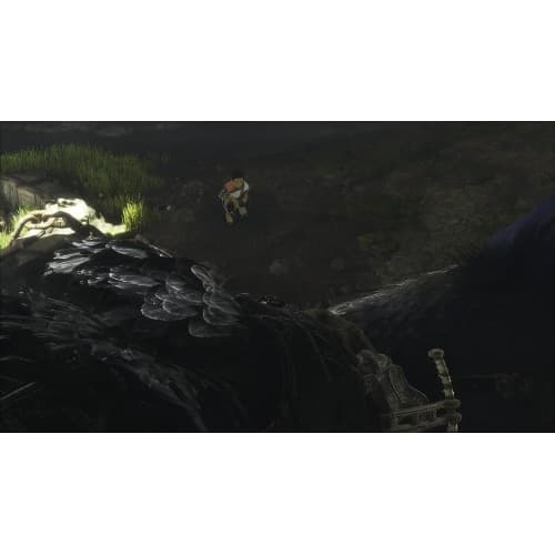 The Last Guardian PS4 PL in Lettori DVD e Blu-ray Prezzo Bomba Store - Casalnuovo di Napoli, commercioVirtuoso.it