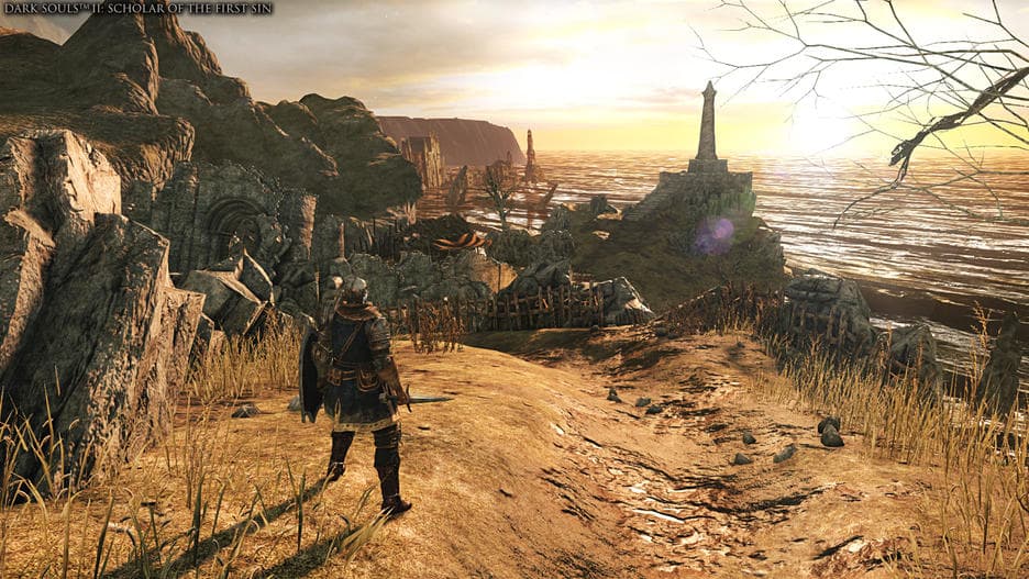 Dark Souls Trilogy PS4 FR - 6