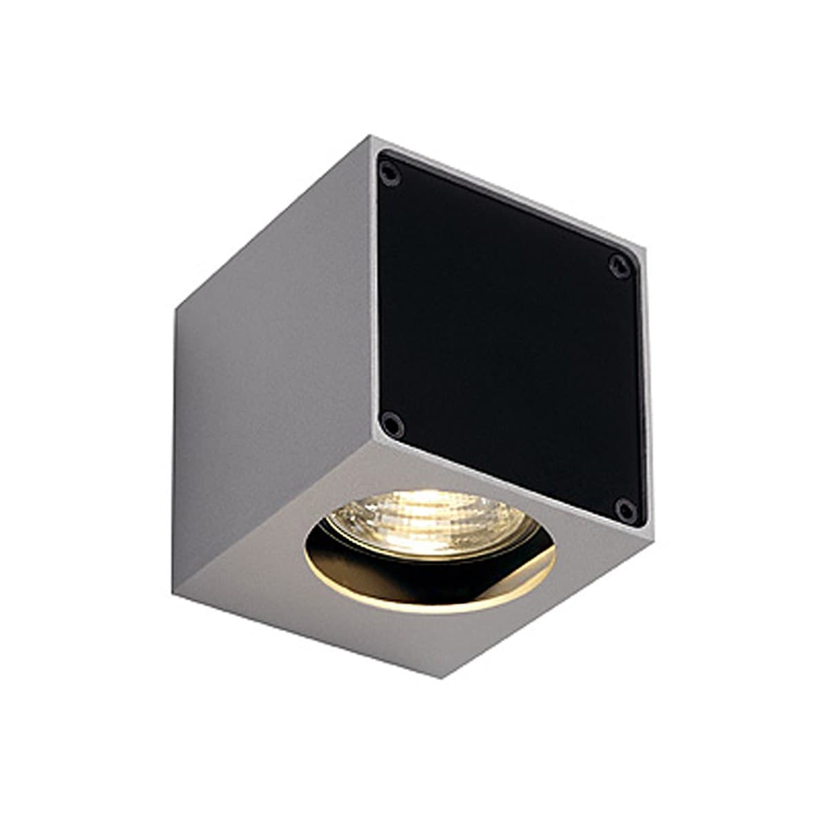 Lampada da Soffitto Altra Dice Single Slv By Ltb