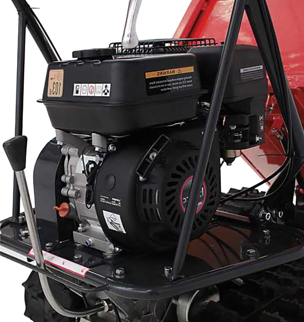 Motocarriola dumper TAG300TD - 5