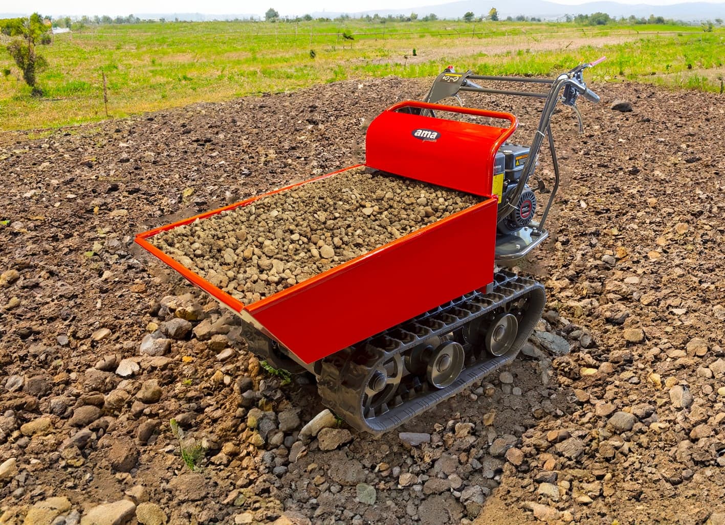 Motocarriola dumper TAG300TD - 7
