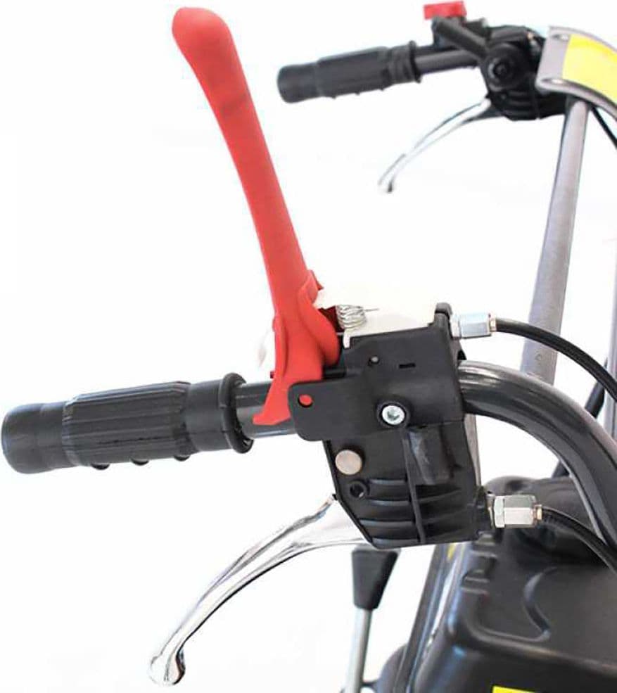 Motocarriola cingolata TAG 300T - 4
