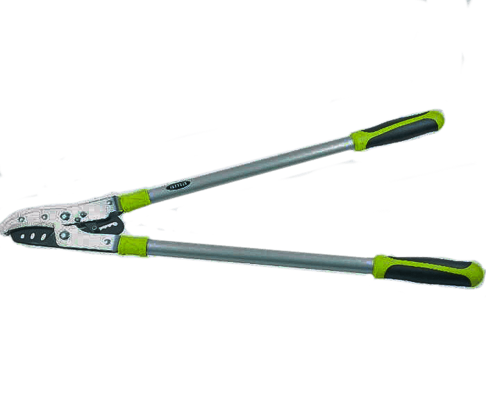 Troncarami Hobby