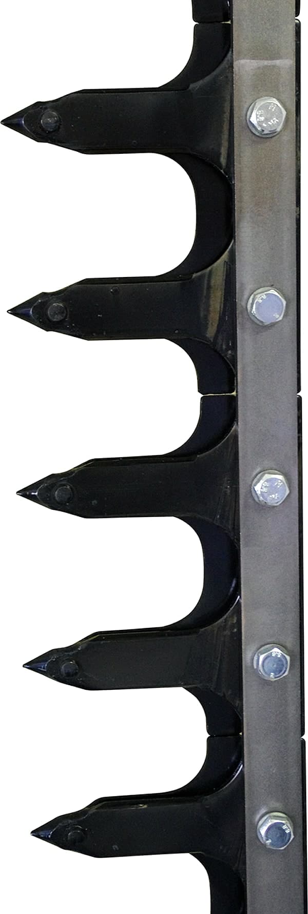 Dentiera 14 denti lunghezza 2,05 mt adattabile a Gaspardo FBR 13013770 - 2