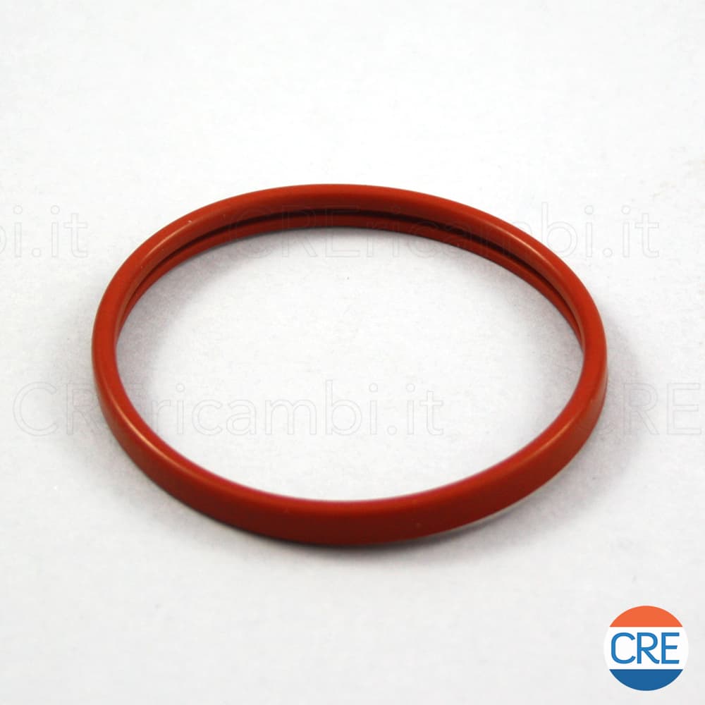 Guarnizione Portafiltro Gran Crema per Portafiltro 996530067961 - 2