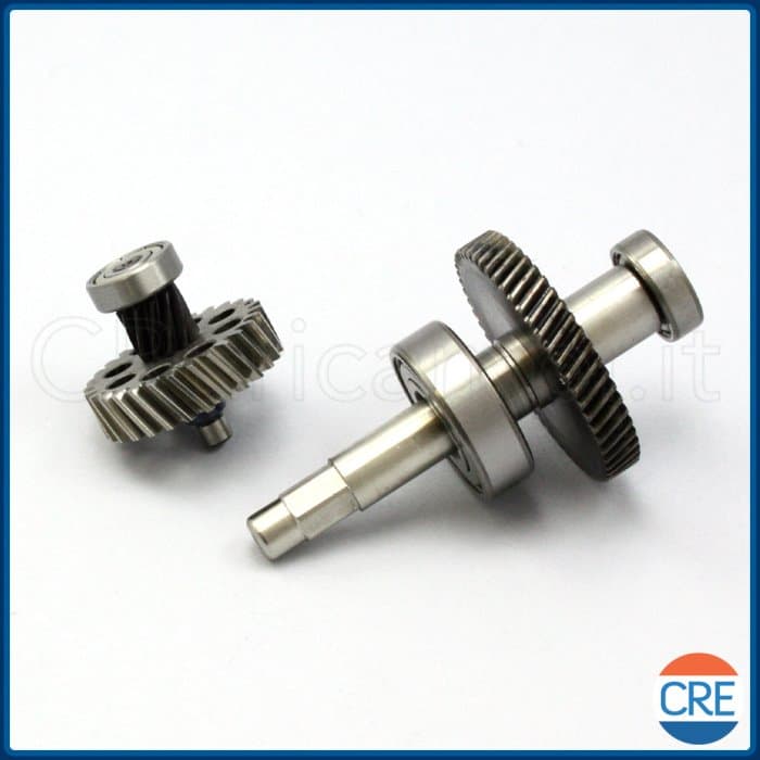 Ingranaggi Motore e Cuscinetto per Succovivo SJ1000, SJ1400 - 2