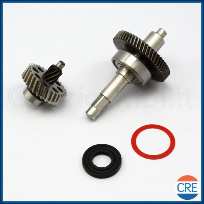 Ingranaggi Motore e Cuscinetto per N1203 Succovivo SJ2000 - 2