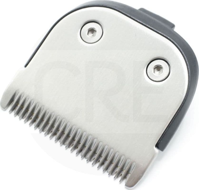 Testina Radente per AirForce Ultimate TN9300, TN9310, TN9320 – Rowenta – grigio