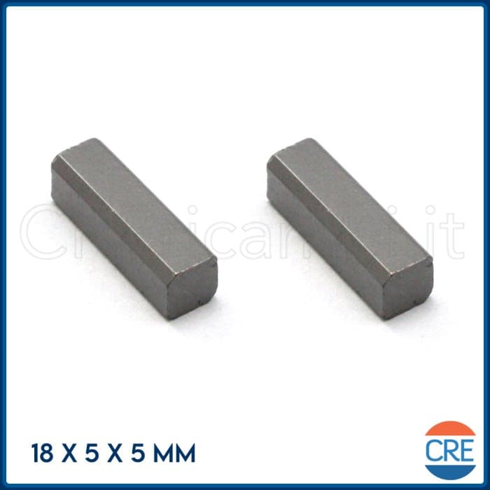 Coppia Carboncini Spazzole Motore 18x5x5mm per Phon Parlux - 3