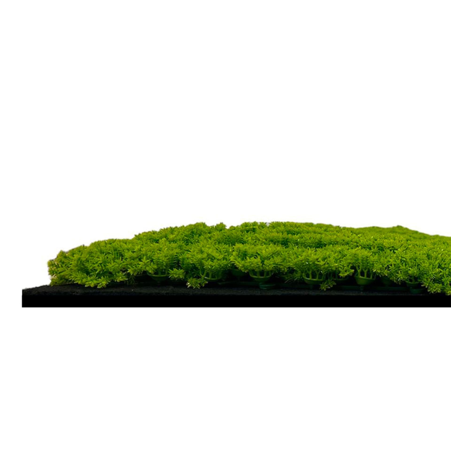 JANGAL Pannelli acustici Modulabili in FLORA sintetica ULTRAREALISTICA 52x52cm mod. LIME GREEN - Eternal Parquet