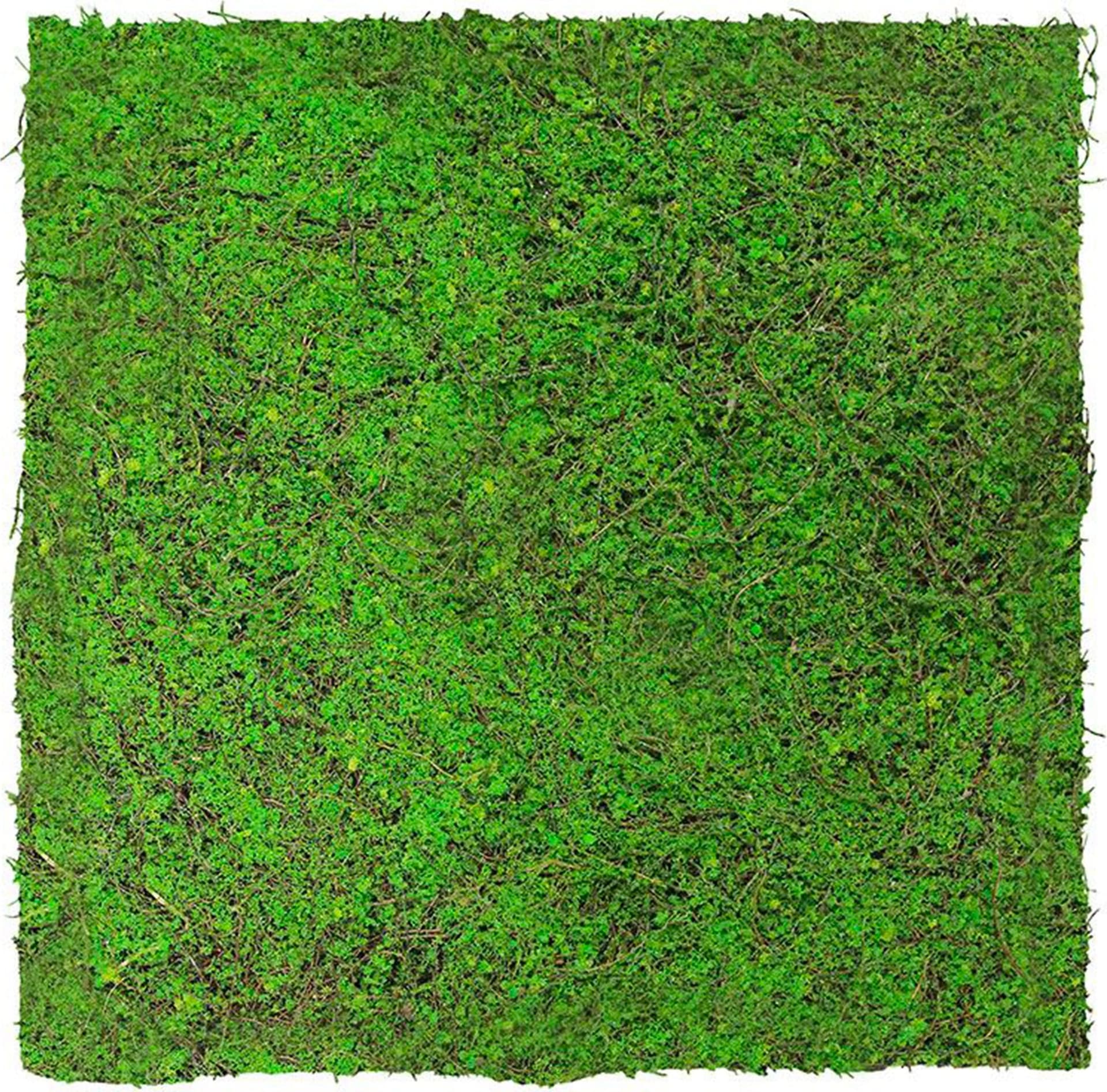 JANGAL Pannelli acustici Modulabili in FLORA sintetica ULTRAREALISTICA 52x52cm mod. ANCIENT TREE - Eternal Parquet