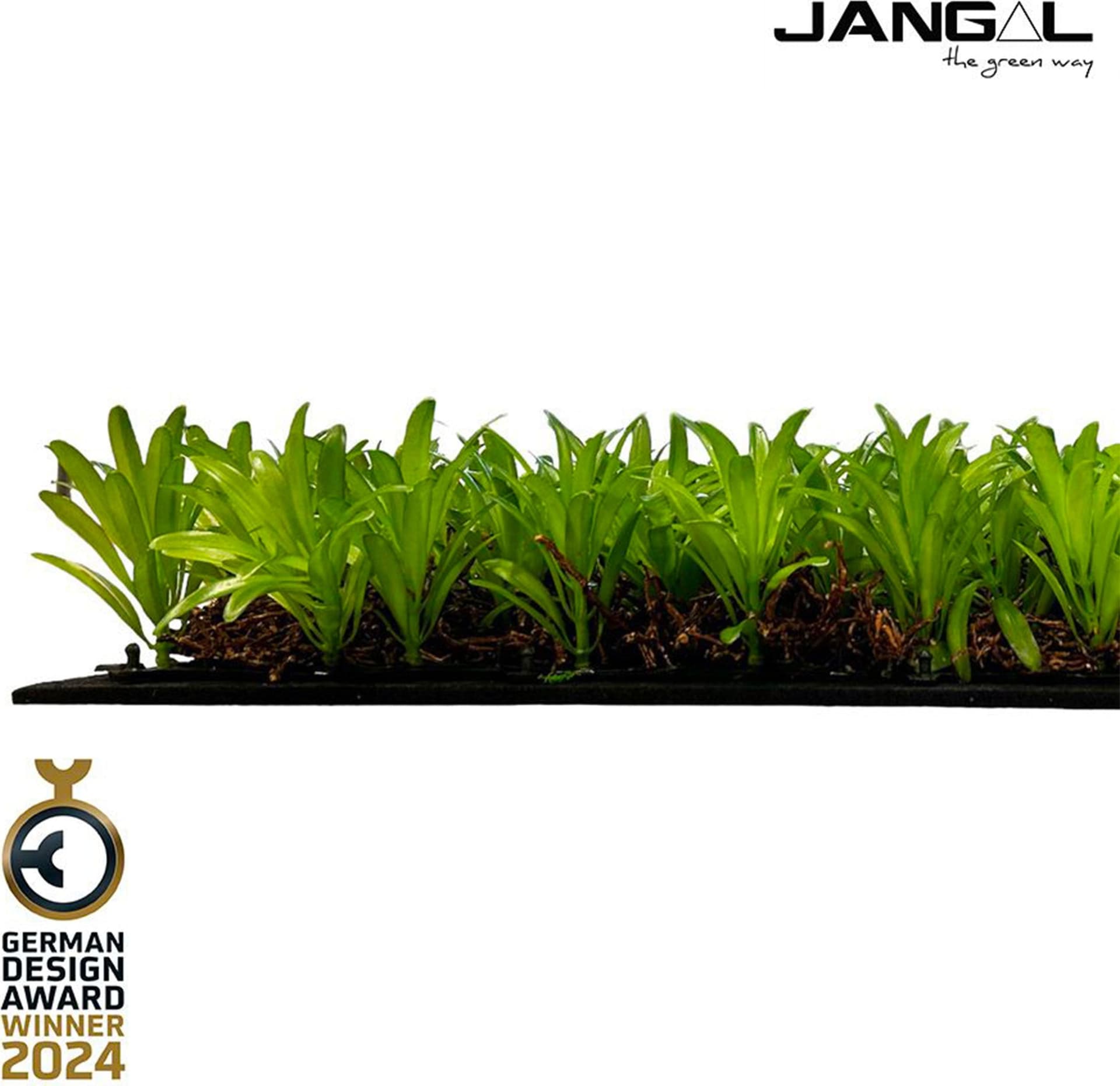 JANGAL Pannelli acustici Modulabili in FLORA sintetica ULTRAREALISTICA 52x52cm mod. PODOCARPUS TEA TREE - Eternal Parquet