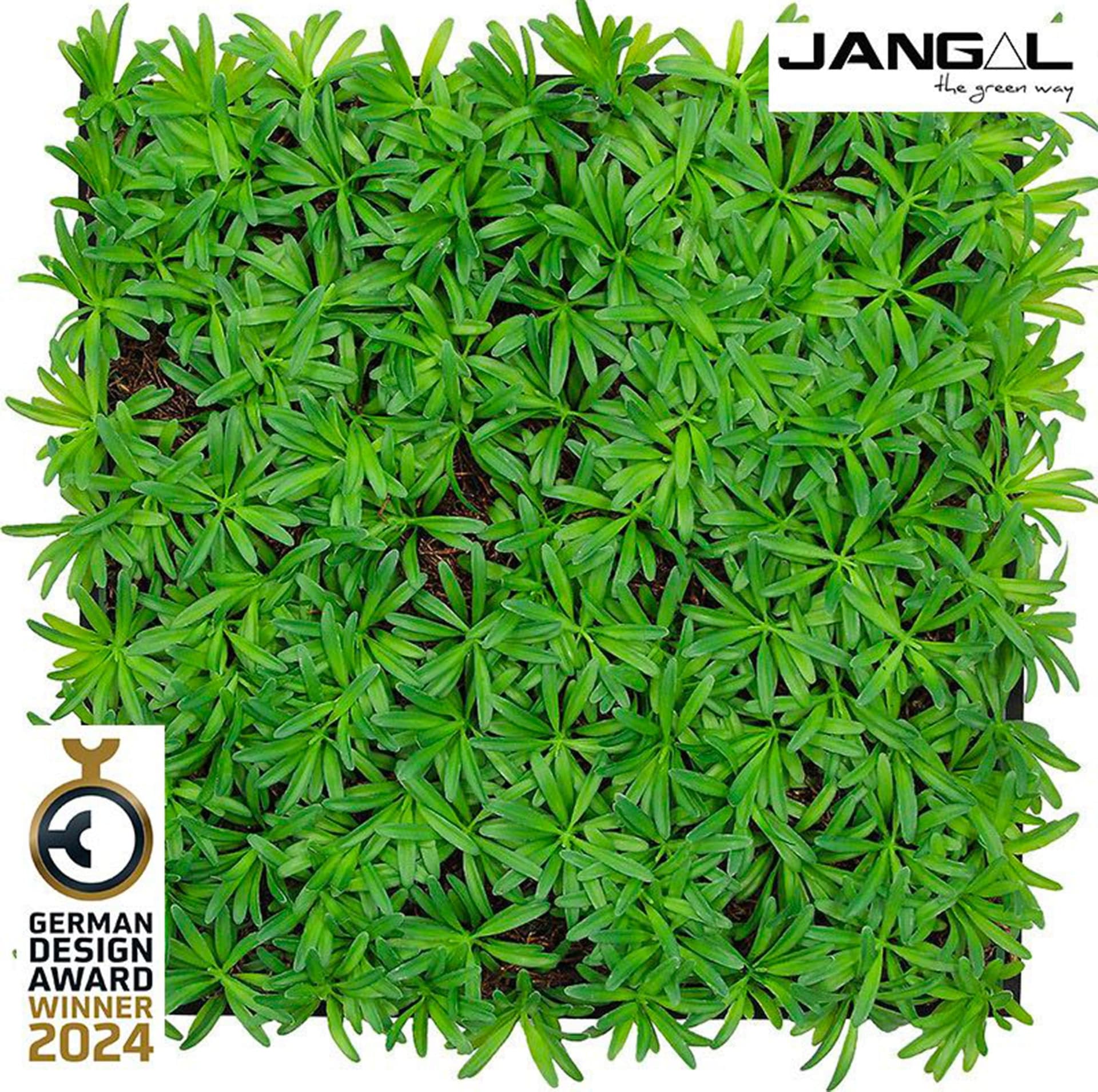 JANGAL Pannelli acustici Modulabili in FLORA sintetica ULTRAREALISTICA 52x52cm mod. PODOCARPUS TEA TREE - Eternal Parquet