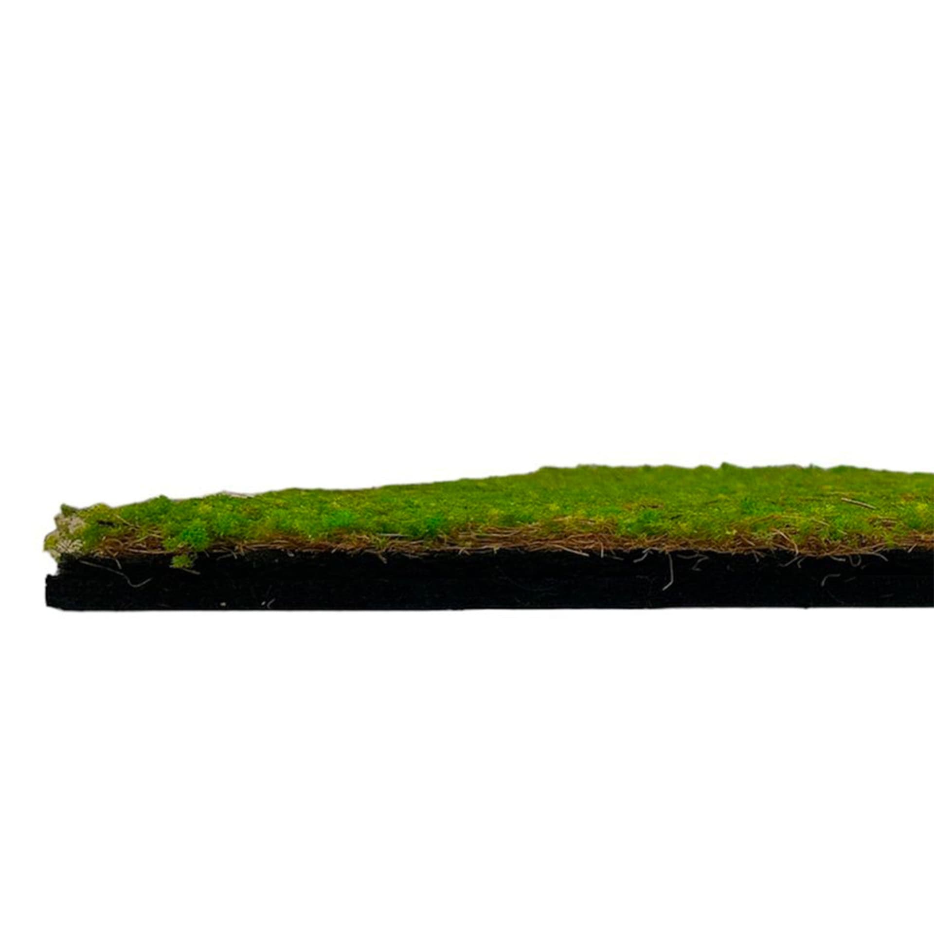 JANGAL Pannelli acustici Modulabili in FLORA sintetica ULTRAREALISTICA 52x52cm mod. LIGHT GREEN COCONUT - Eternal Parquet