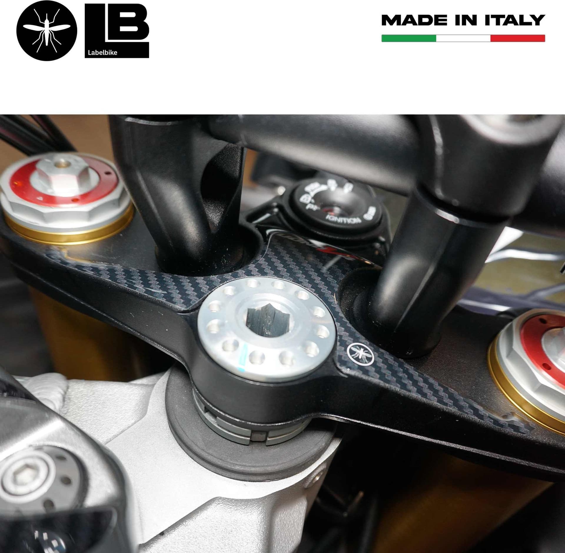 Adesivo 3D Protezione Piastra Forcella compatibile con Aprilia Tuono V4 - 3