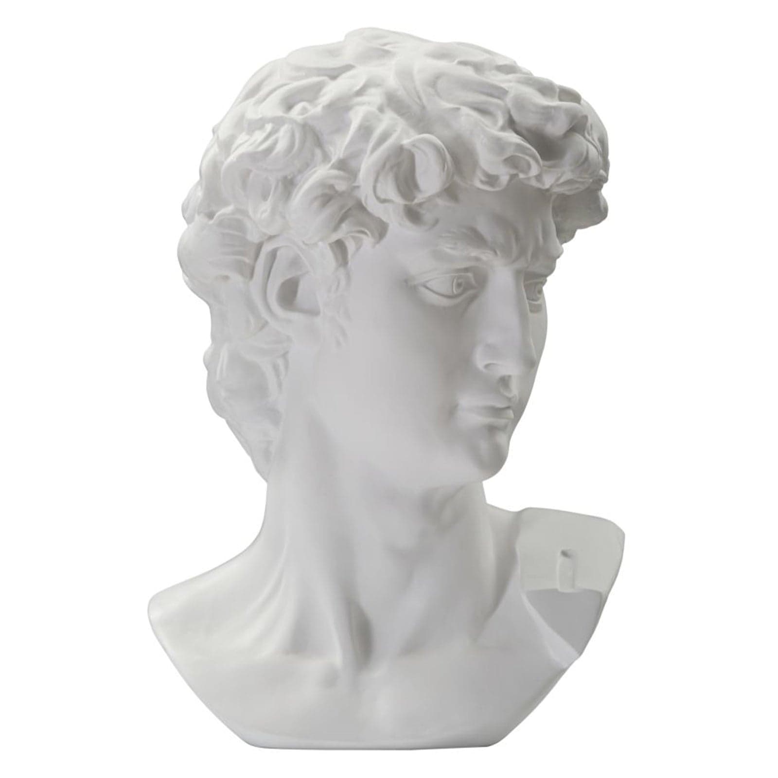 Scultura testa antica romana in poliresina per decorazioni ambienti in Statue Decor Space - Altamura, commercioVirtuoso.it