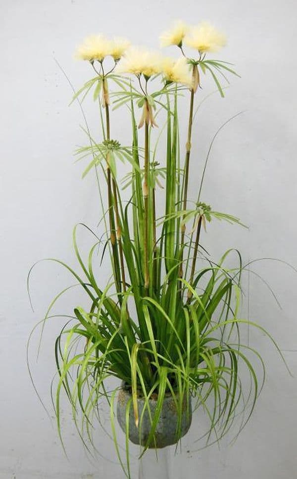 Pianta Artificiale da interno ed esterno "Papiro" con vaso h 180 cm in Piante artificiali Decor Space - Altamura, commercioVirtuoso.it