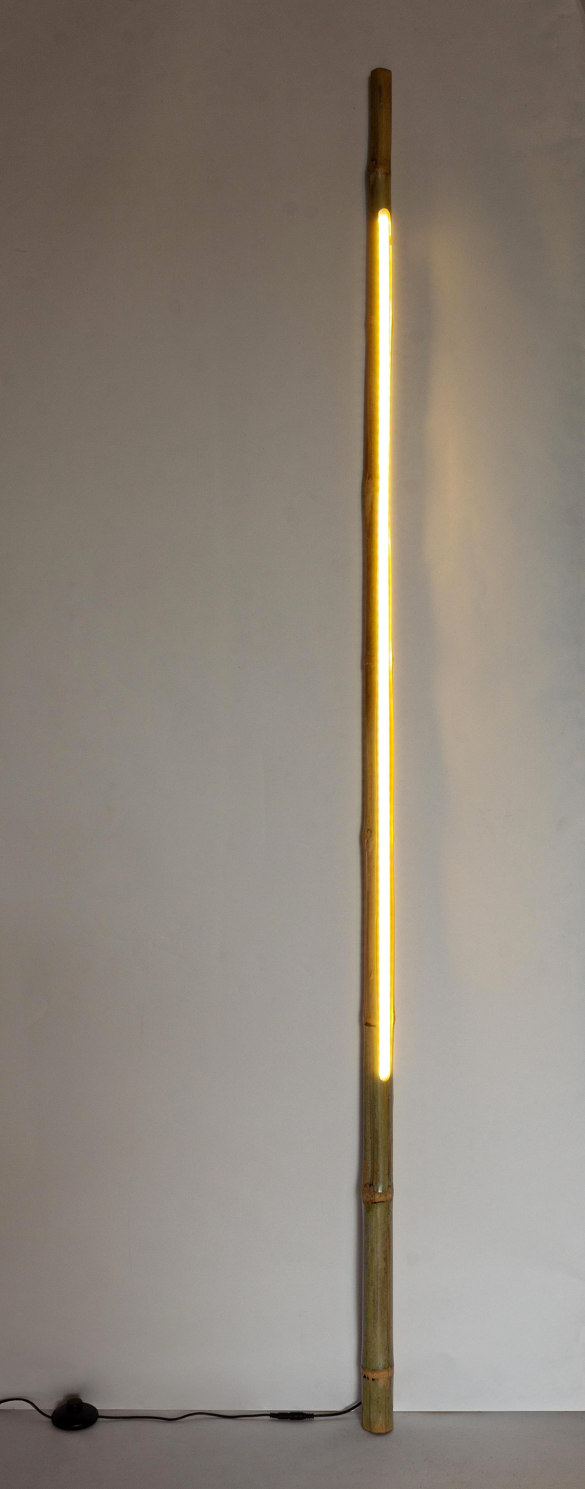 Piantana "Led Tubo Bamboo" h 200 cm in Lampade da terra Decor Space - Altamura, commercioVirtuoso.it