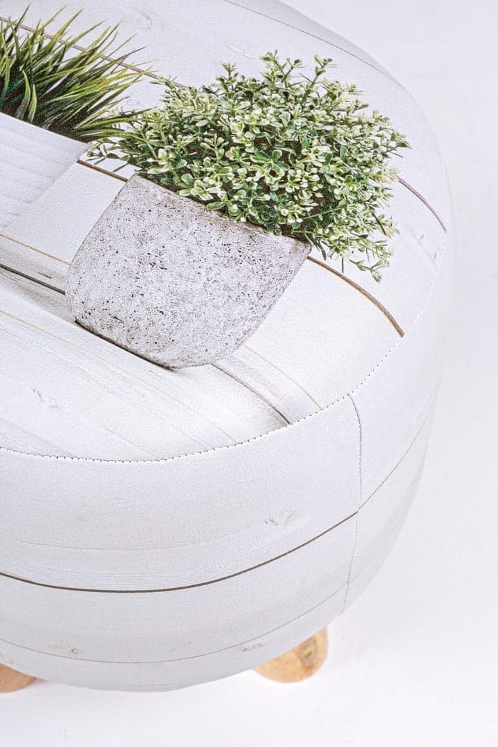 Poltrona Pouf "Plantas" per interno, con Struttura In Mdf da Ø30 x 32h cm in Ottomane e poggiapiedi Decor Space - Altamura, commercioVirtuoso.it
