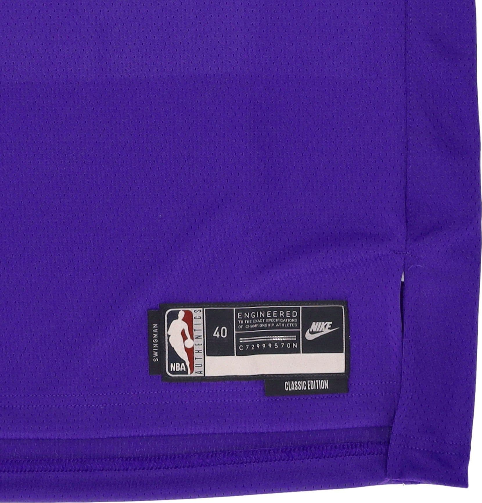 NIKE NBA Canotta Basket Uomo Nba 22 Dri-fit Swingman Jersey Hardwood Classics No 34 Giannis Antetoukounmpo Milbuc Field