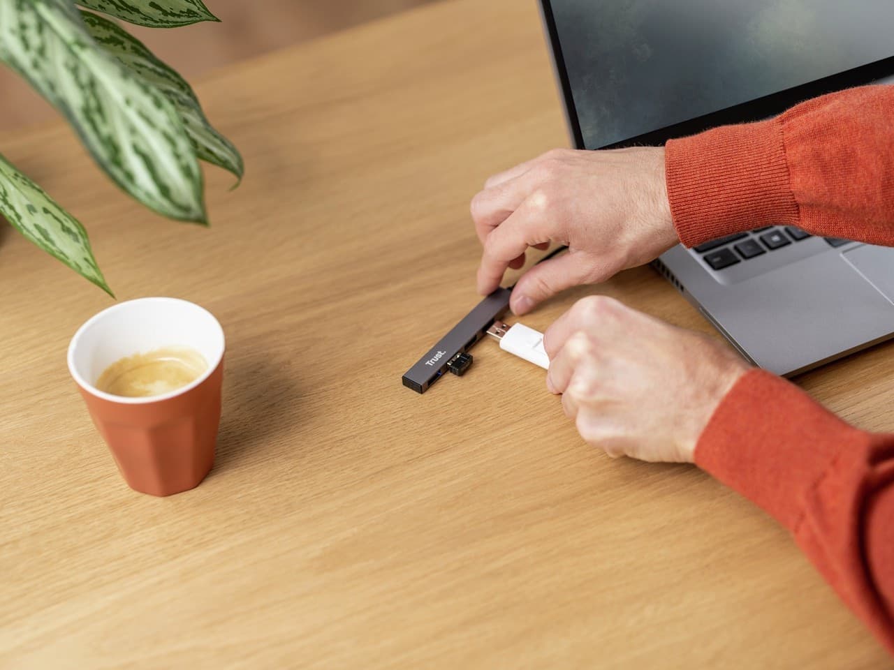 Trust Hub USB Trust Halyx - USB 2.0 tipo A - Esterno - 7