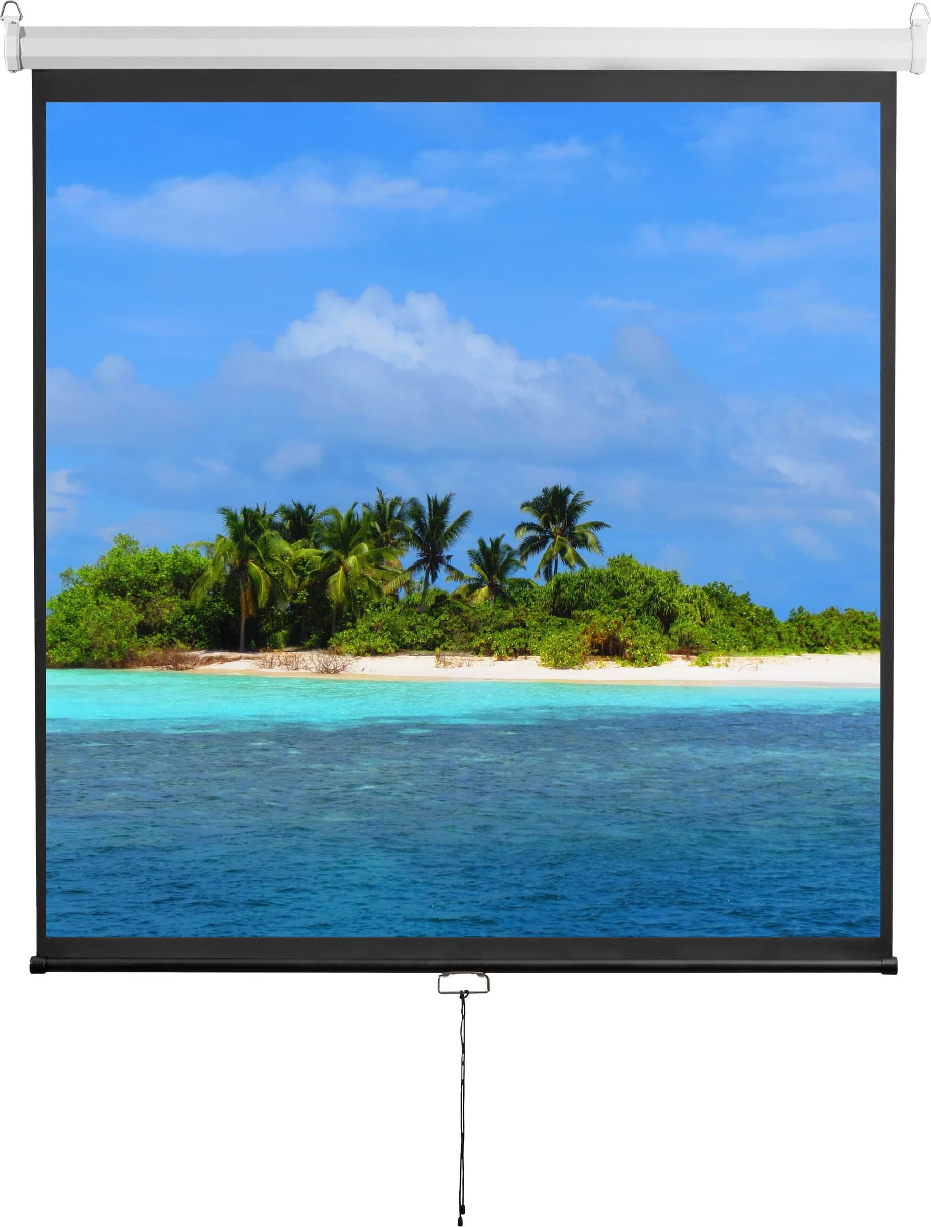 Schermo di Proiezione 100'' 180 x 180 cm, PSM-100 - 12