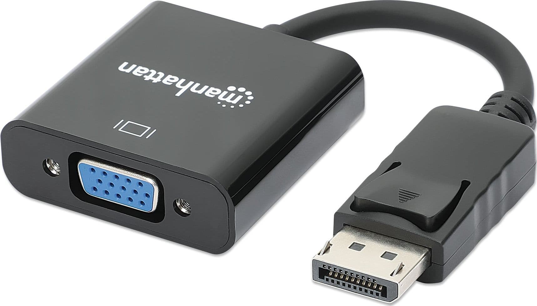 Cavo Convertitore da DisplayPort a VGA - 17