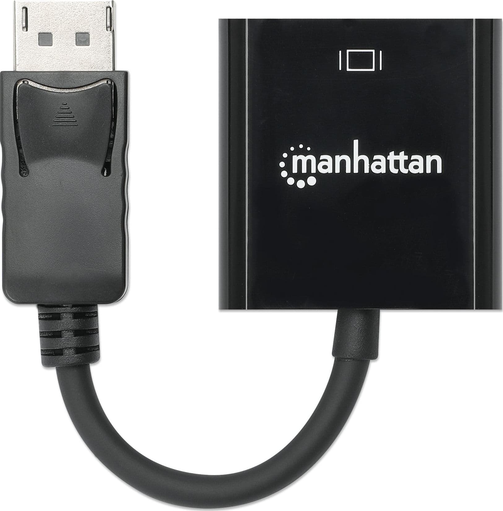 Cavo Convertitore da DisplayPort a VGA - 20
