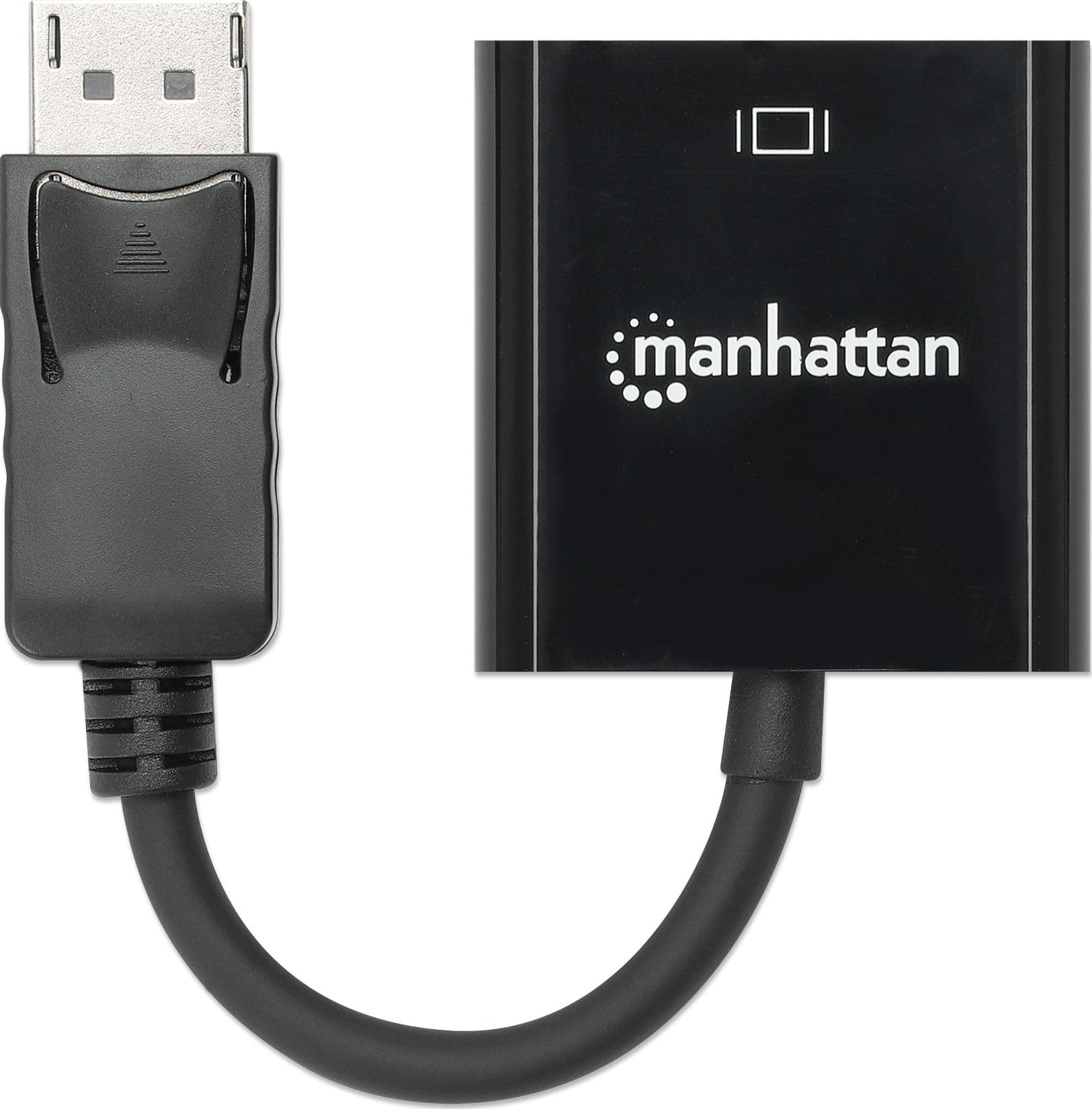 Cavo Convertitore da DisplayPort a VGA - 21