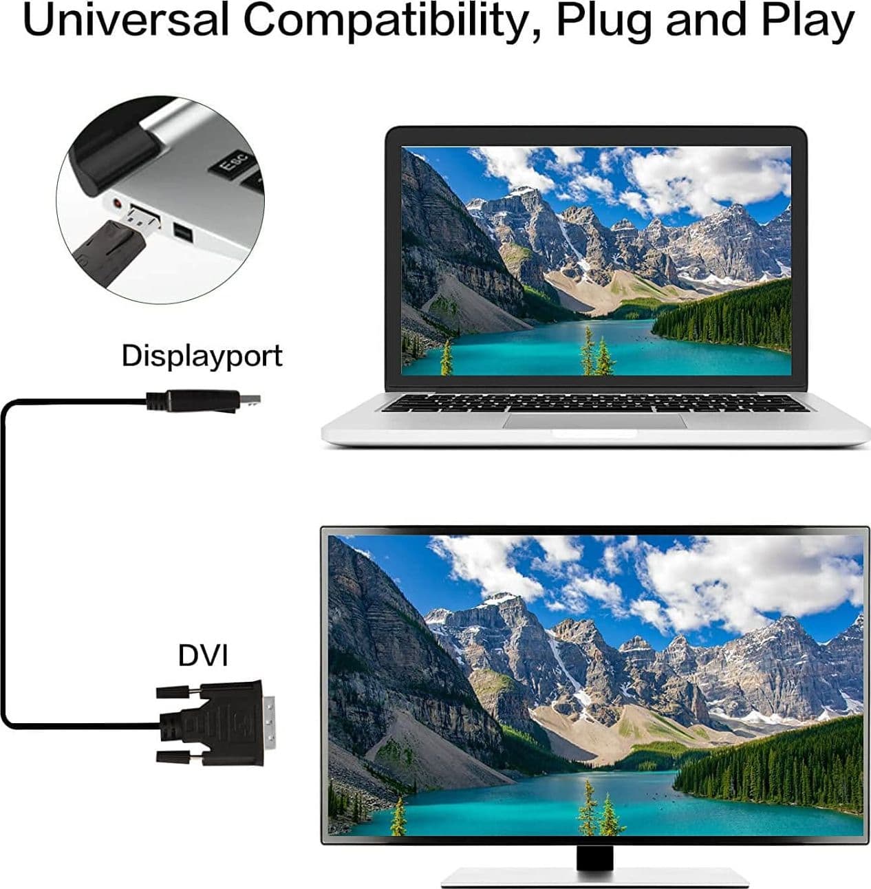 Cavo Monitor DisplayPort a DVI 3 m - 12