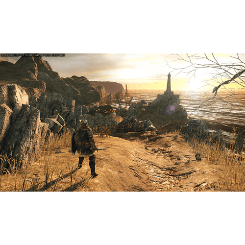 Dark Souls Trilogy PS4 ES/PT Usato - 6