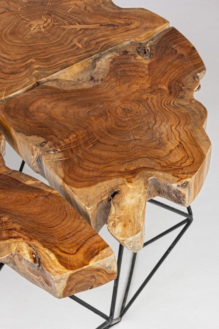 Tavolino "Adanya" gambe in acciaio e piano in radici di teak per arredamento in Console e tavoli da divano Decor Space - Altamura, commercioVirtuoso.it