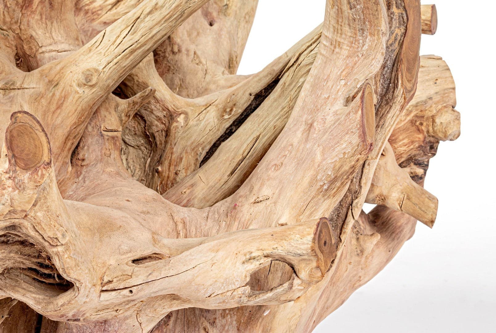 Tavolino "Rosalind" struttura in radici di teak e piano in vetro per interni in Console e tavoli da divano Decor Space - Altamura, commercioVirtuoso.it