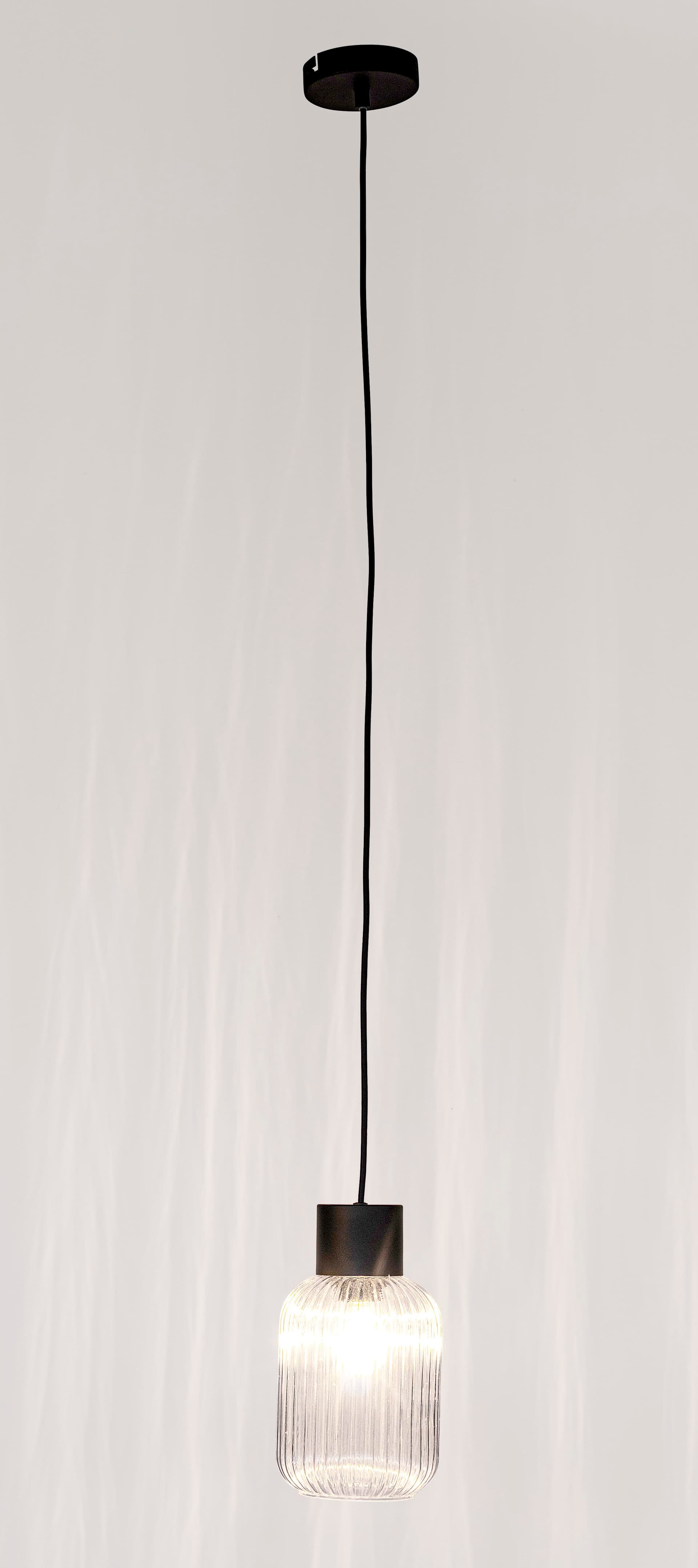 Lampadario 1 luce "Showy" in acciaio e vetro in Lampade a sospensione Decor Space - Altamura, commercioVirtuoso.it