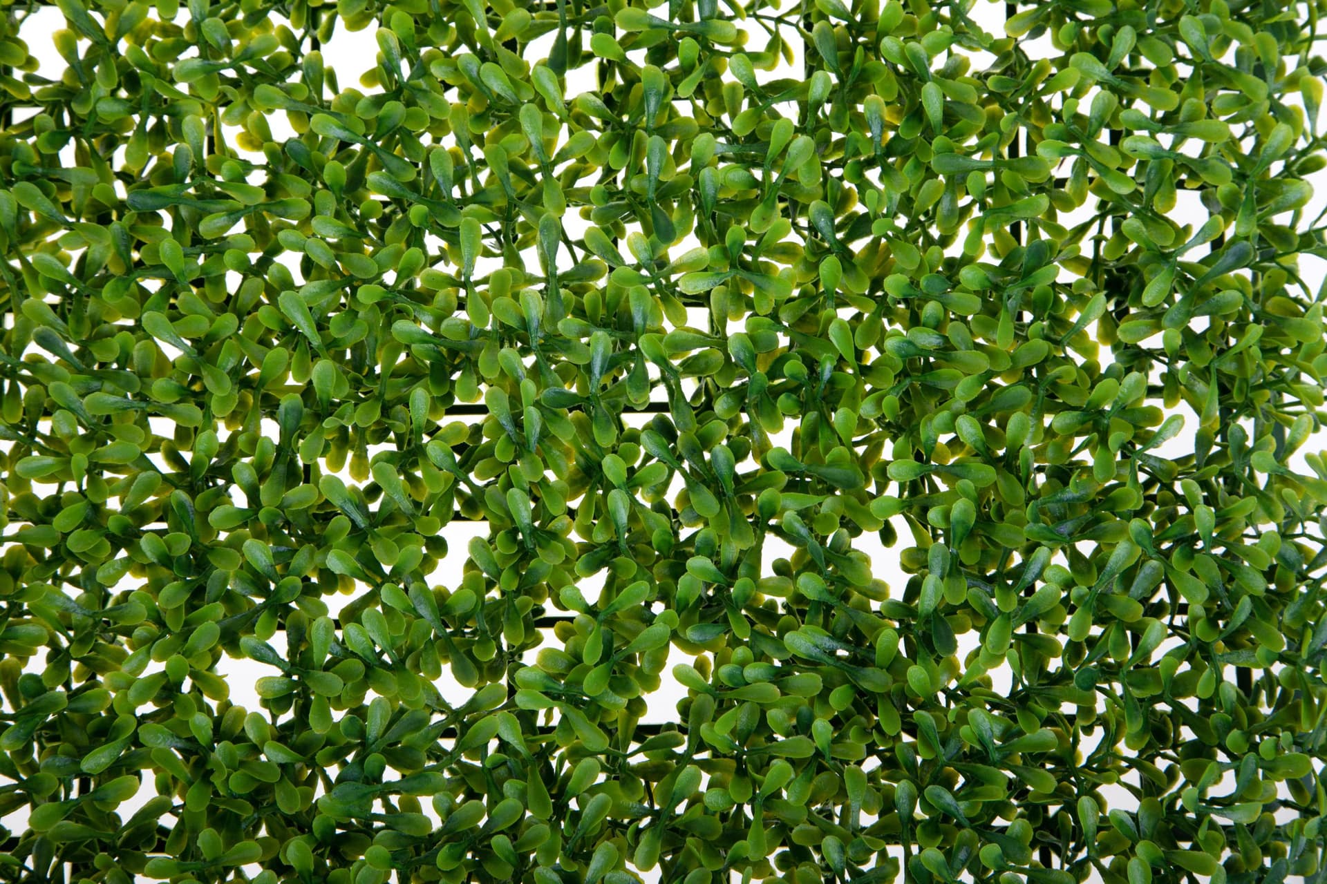 Mattonella "Erbosa" da parete, color verde da 60 x 40 cm in Recinzioni decorative Decor Space - Altamura, commercioVirtuoso.it