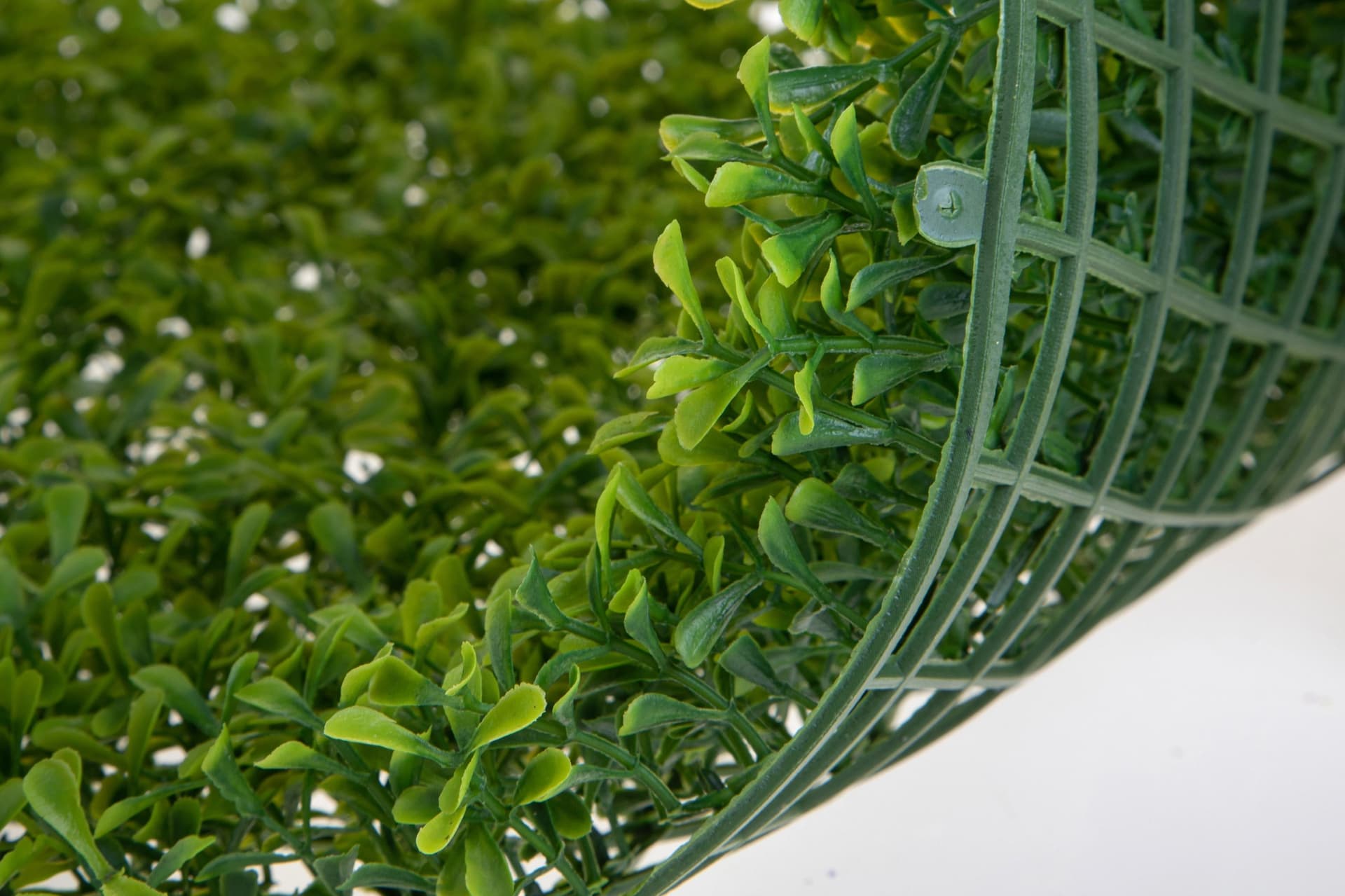 Mattonella "Erbosa" da parete, color verde da 60 x 40 cm in Recinzioni decorative Decor Space - Altamura, commercioVirtuoso.it