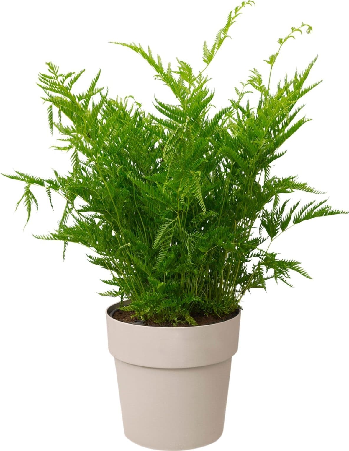 Vaso "B.For Original Round" in plastica riciclata, per esterno, stile moderno in Vasi tradizionali Decor Space - Altamura, commercioVirtuoso.it