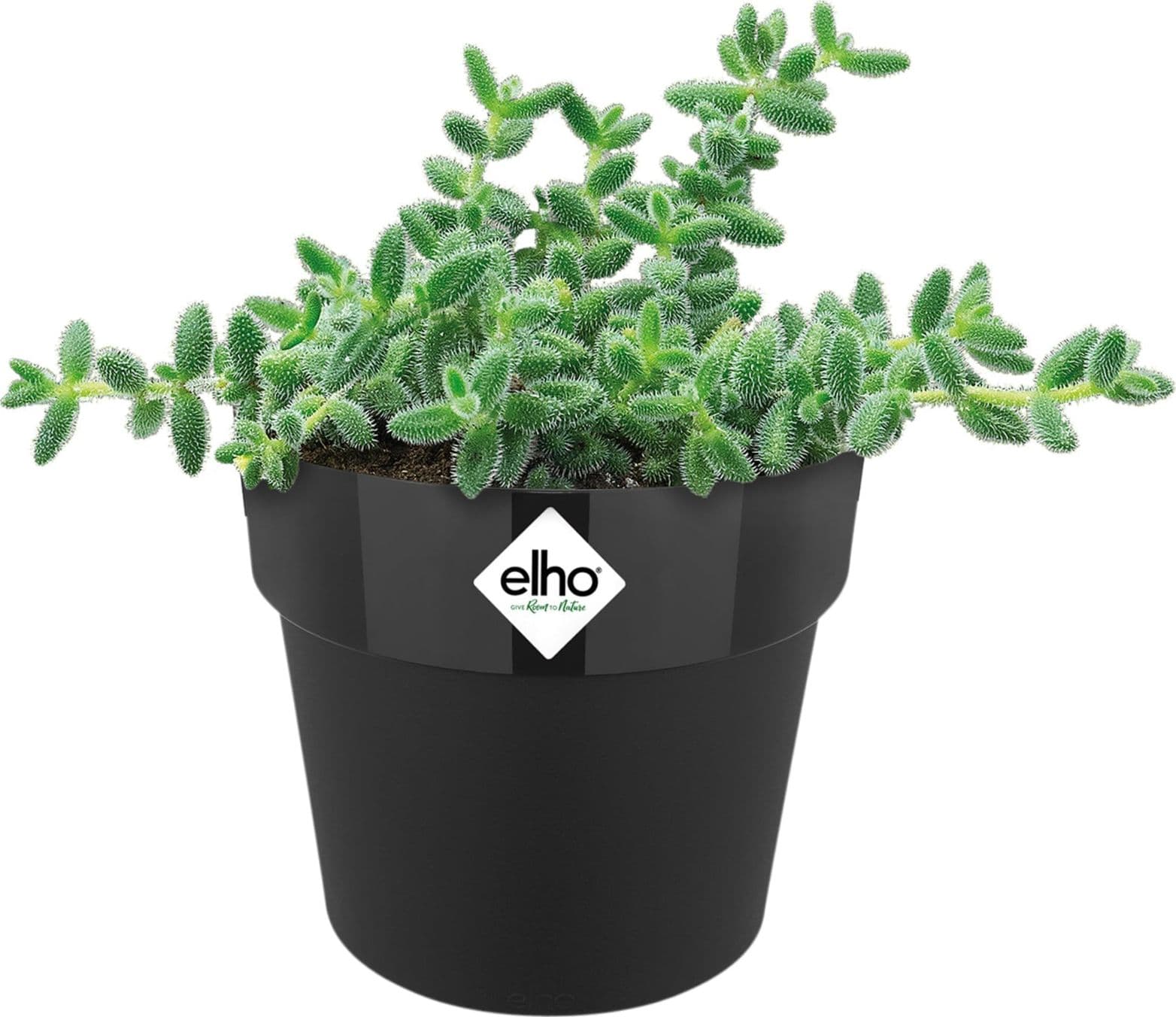 Vaso "B.For Original Round" in plastica riciclata, per esterno, stile moderno in Vasi tradizionali Decor Space - Altamura, commercioVirtuoso.it
