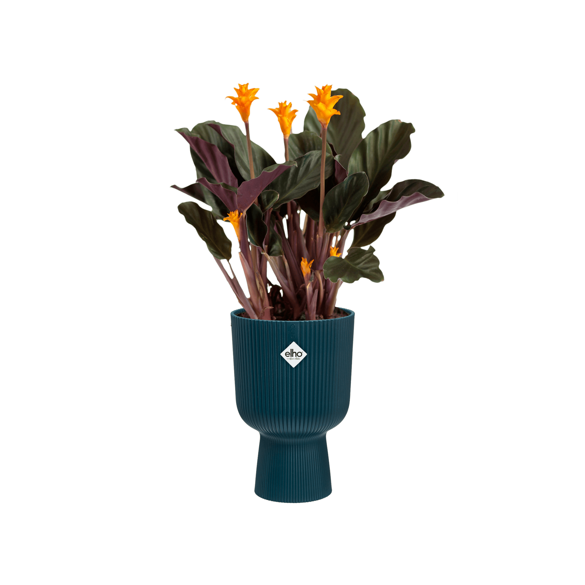 Vaso "Vibes Fold Coupe" in plastica riciclata, per esterno, stile moderno in Vasi tradizionali Decor Space - Altamura, commercioVirtuoso.it