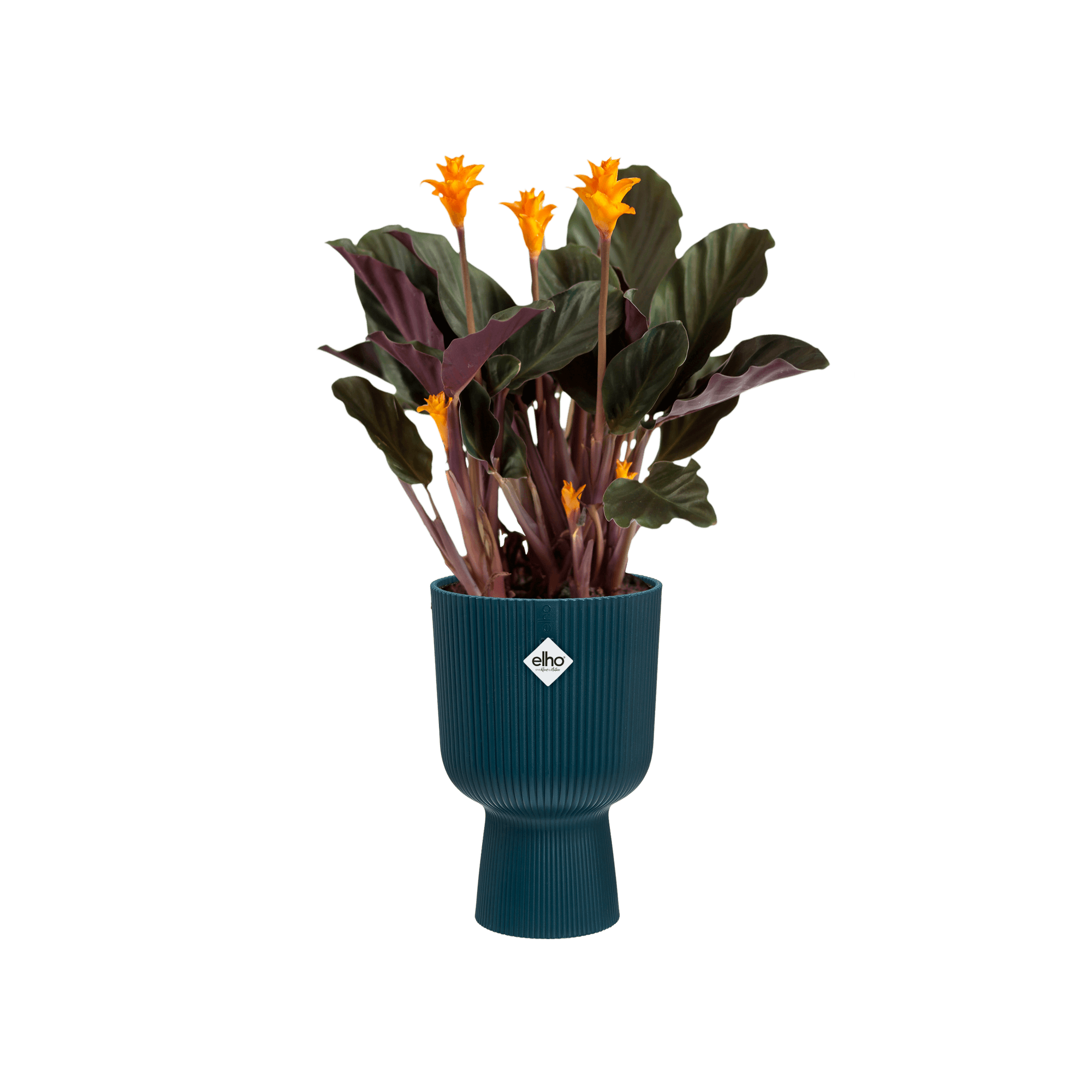 Vaso "Vibes Fold Coupe" in plastica riciclata, per esterno, stile moderno in Vasi tradizionali Decor Space - Altamura, commercioVirtuoso.it