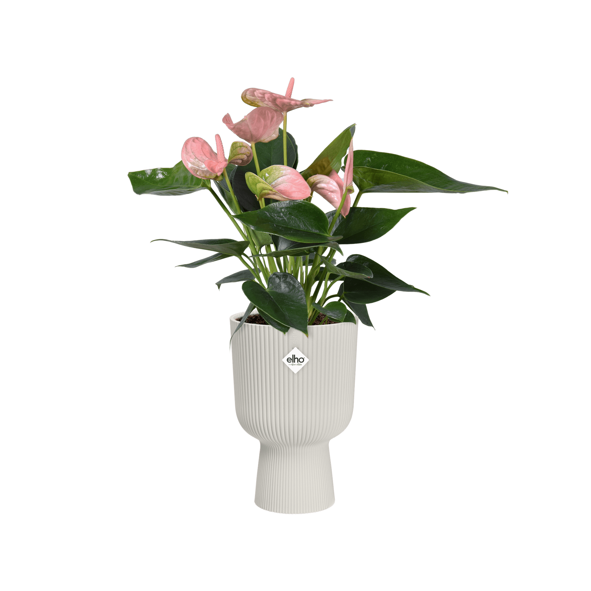 Vaso "Vibes Fold Coupe" in plastica riciclata, per esterno, stile moderno in Vasi tradizionali Decor Space - Altamura, commercioVirtuoso.it