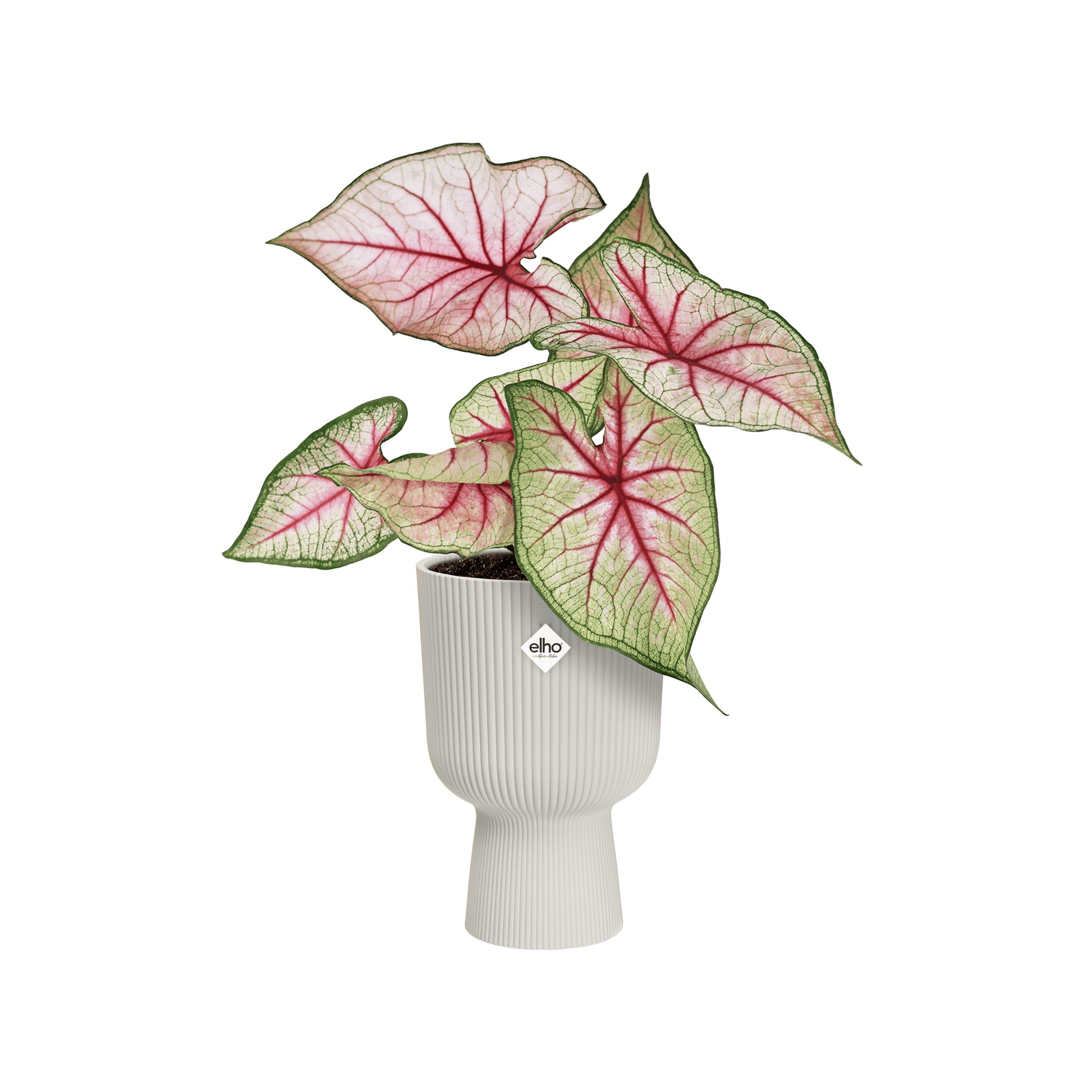 Vaso "Vibes Fold Coupe" in plastica riciclata, per esterno, stile moderno in Vasi tradizionali Decor Space - Altamura, commercioVirtuoso.it