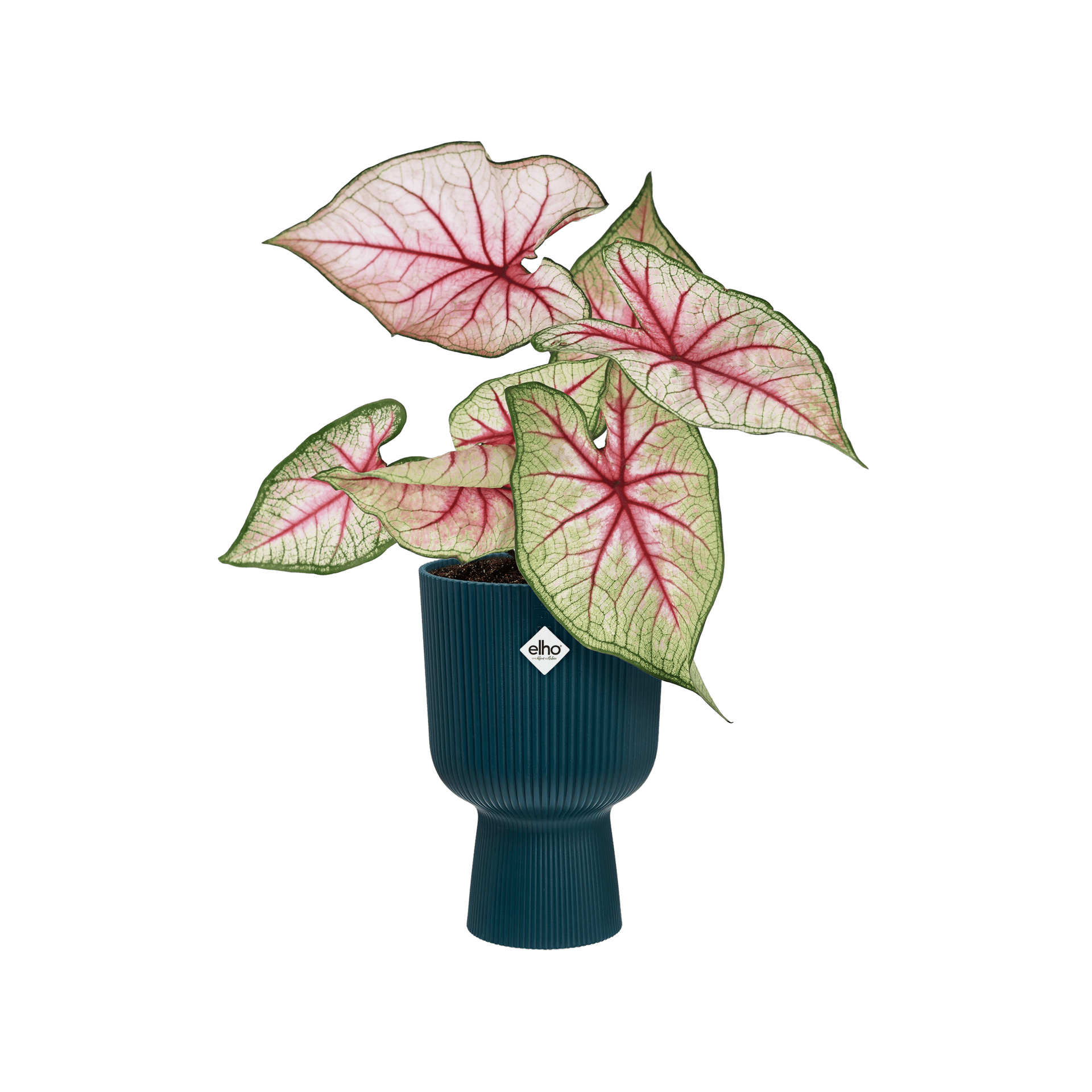 Vaso "Vibes Fold Coupe" in plastica riciclata, per esterno, stile moderno in Vasi tradizionali Decor Space - Altamura, commercioVirtuoso.it