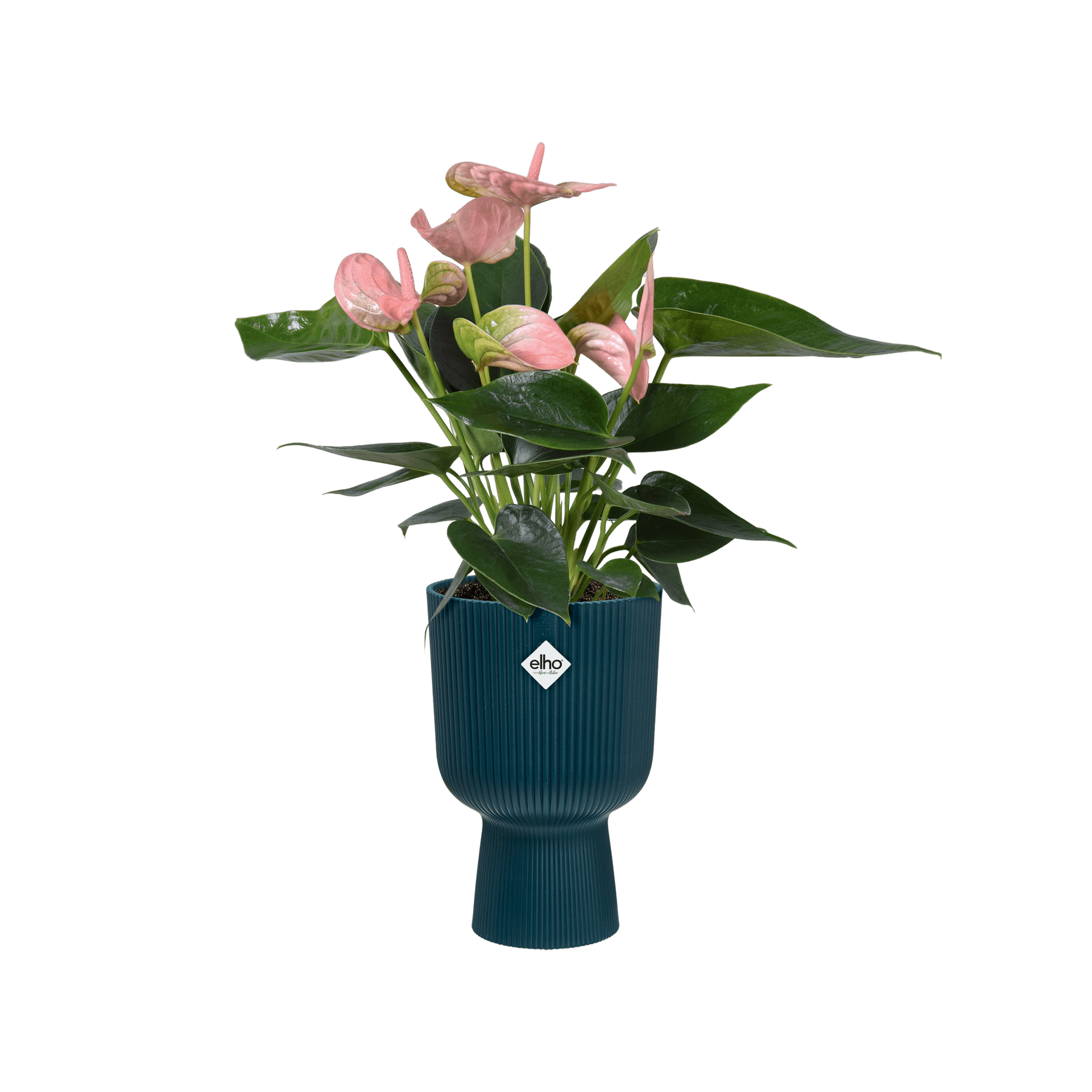 Vaso "Vibes Fold Coupe" in plastica riciclata, per esterno, stile moderno in Vasi tradizionali Decor Space - Altamura, commercioVirtuoso.it