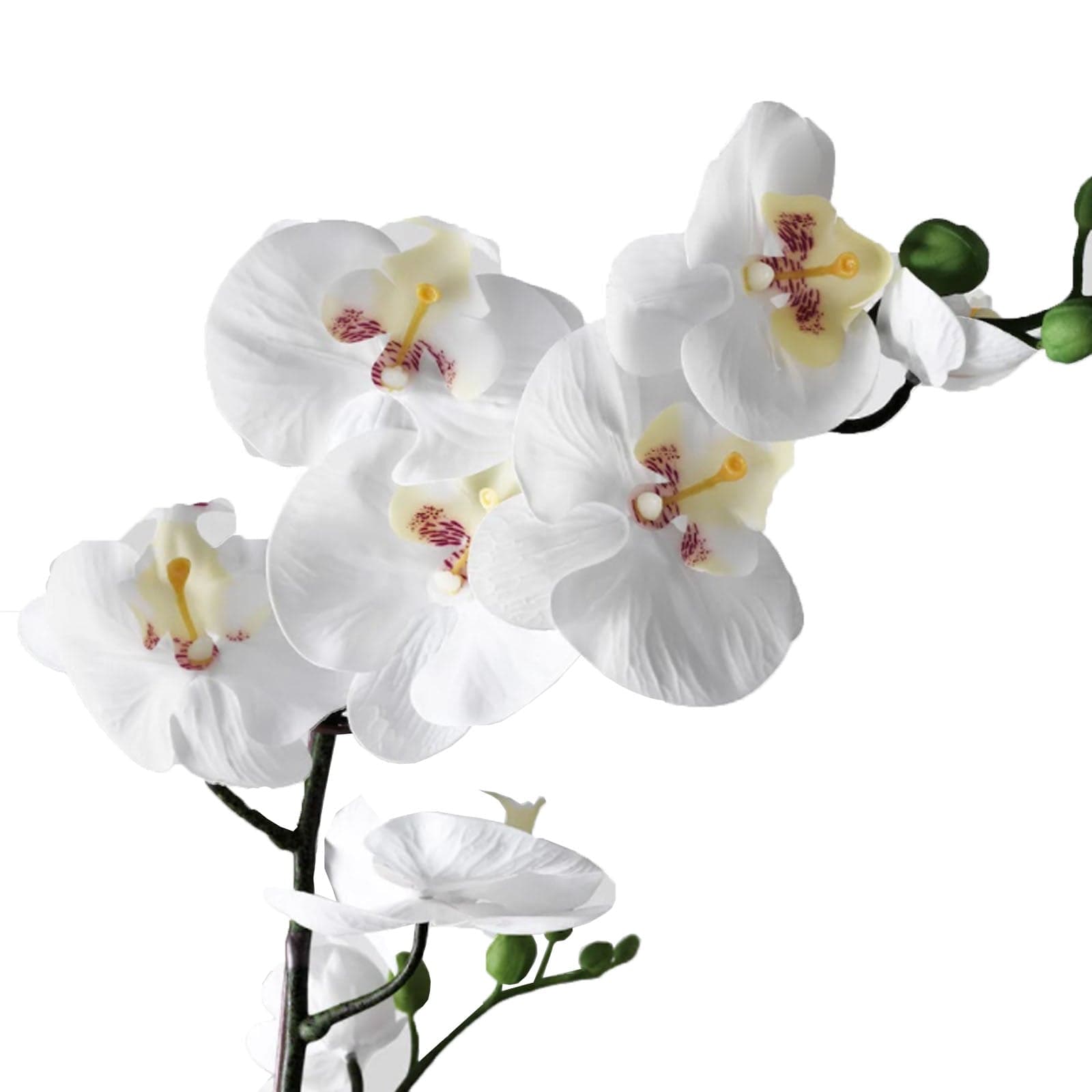 Stelo di Orchidea artificiale da interno ed esterno H 95 in Piante artificiali Decor Space - Altamura, commercioVirtuoso.it
