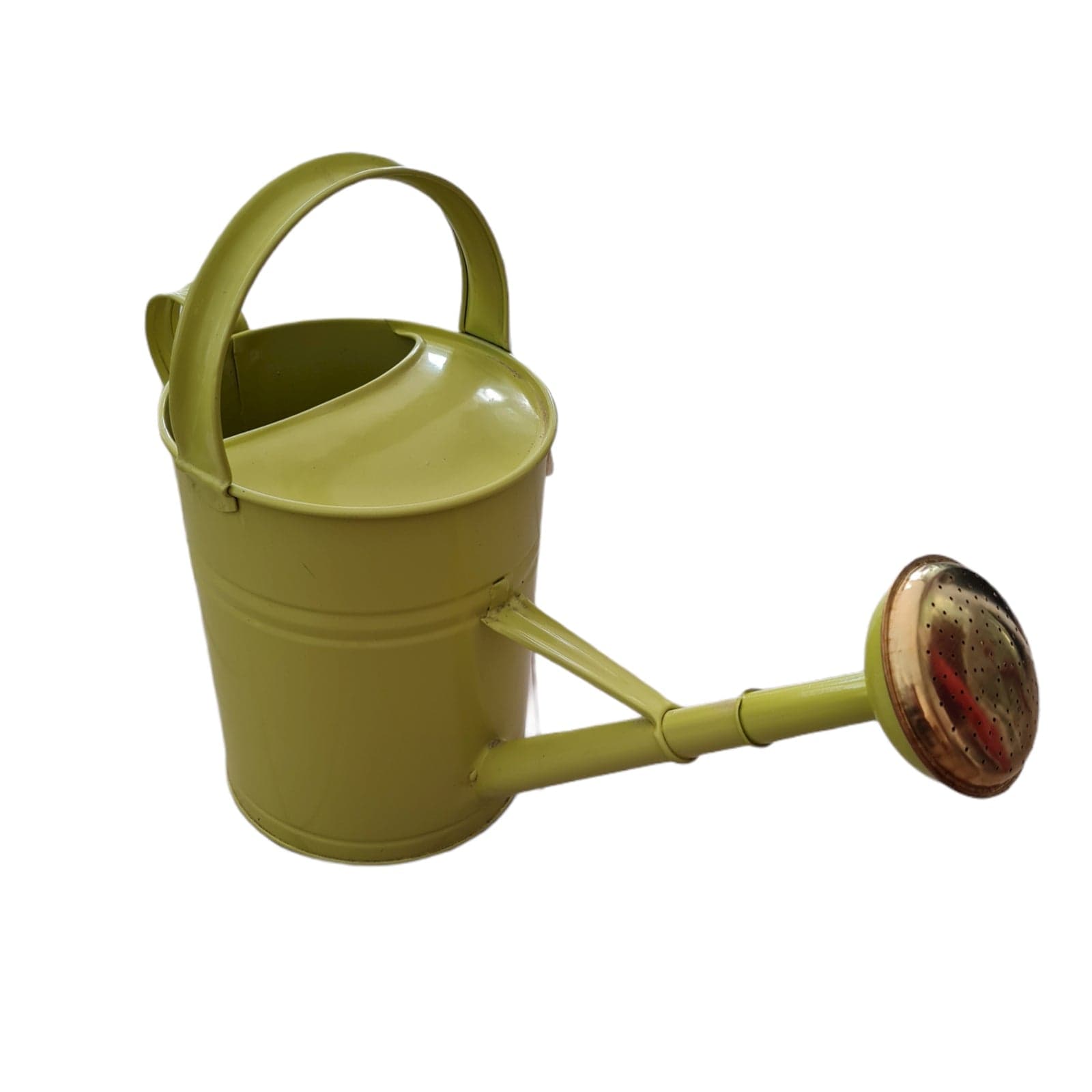 Annaffiatoio in metallo per irrigazione ovale innaffiatoio da giardino in Vasi tradizionali Decor Space - Altamura, commercioVirtuoso.it
